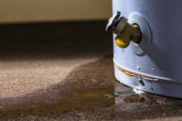 Best Mold removal after water damage  in Spencer, WI