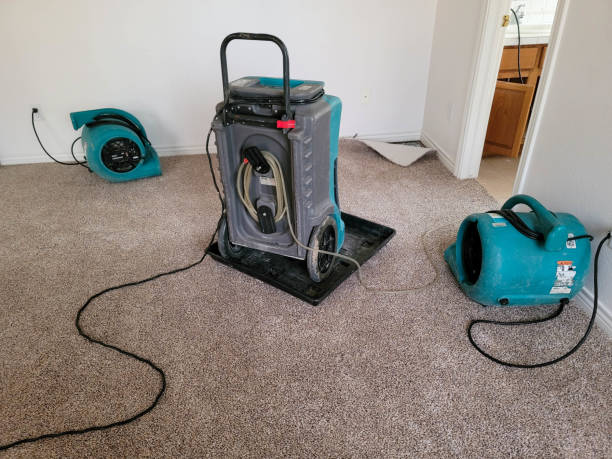 Best Local water damage restoration  in Spencer, WI