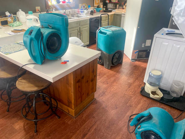 Best Water damage restoration services  in Spencer, WI