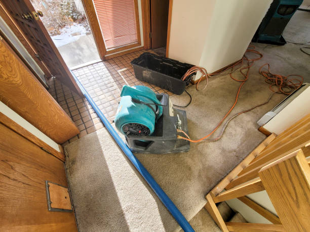 Best Flooded house restoration  in Spencer, WI