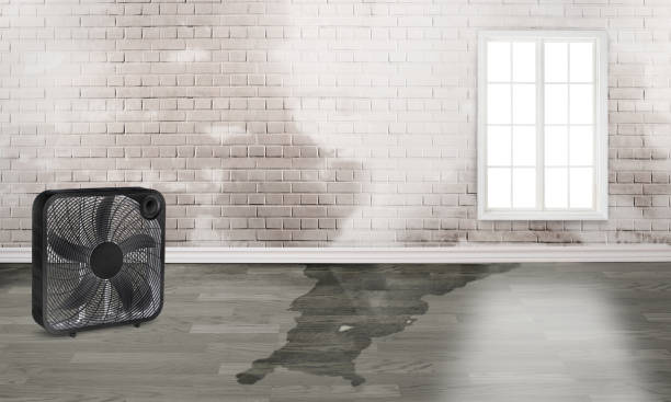 Water damage restoration process in Spencer, WI