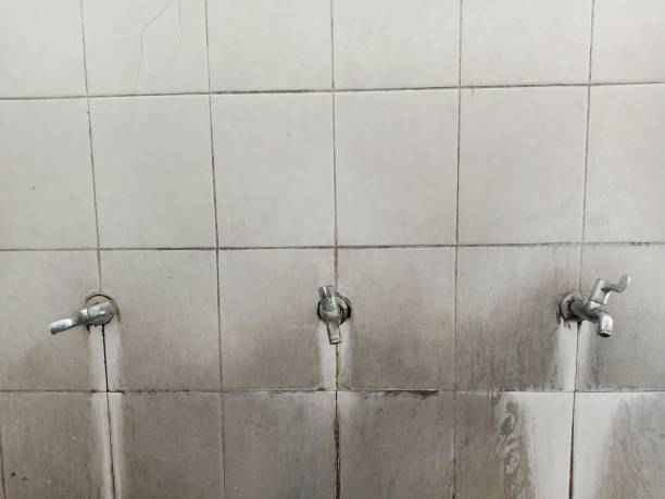 Best Sewage cleanup and water damage restoration  in Spencer, WI