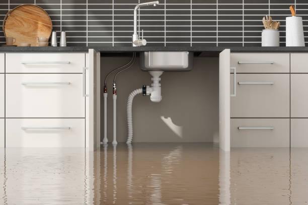 Best Water damage restoration insurance claims  in Spencer, WI