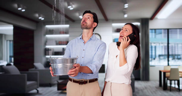 Best Carpet water damage restoration  in Spencer, WI