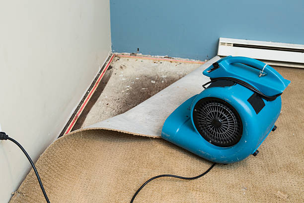 Best Ceiling water damage repair  in Spencer, WI
